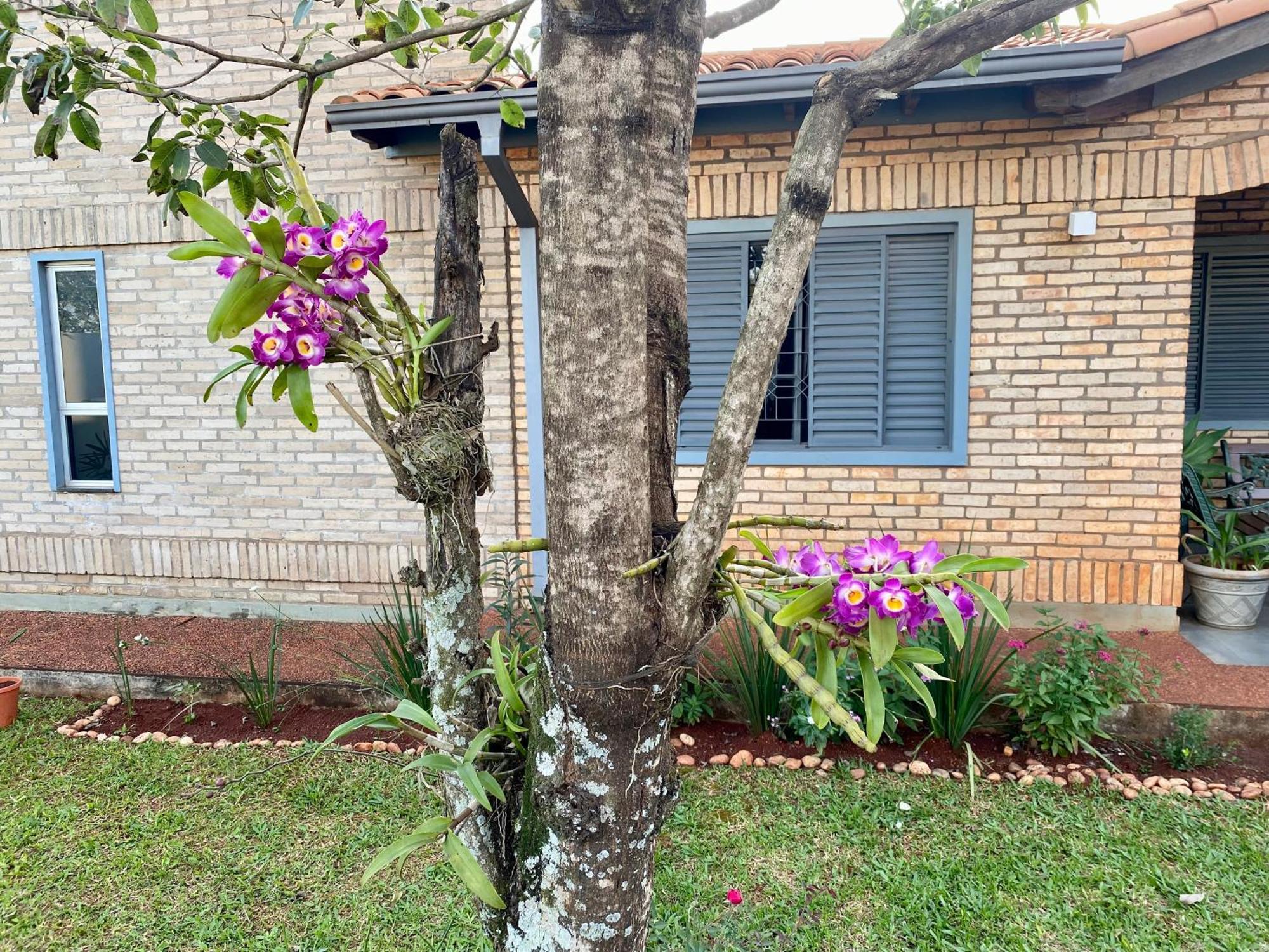 Moderna Y Unica Casa Independiente Con Jardin Y Estacionamiento Сьюдад-дель-Эсте Экстерьер фото